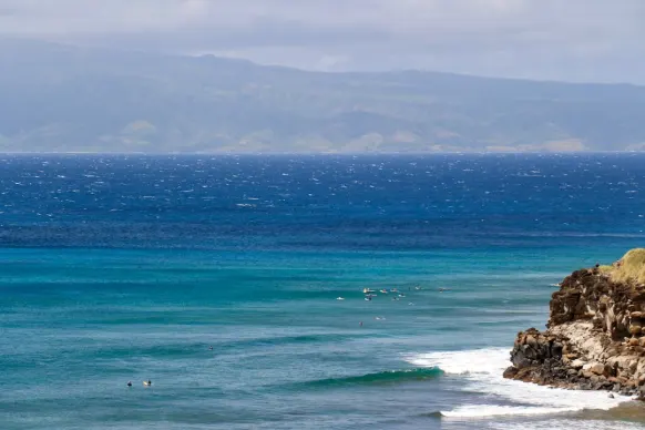 Kazino Two Fat Ladies Bingo Atbalsts